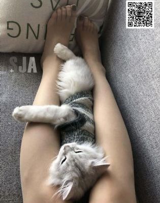 中国老太毛茸茸xxxxhd中文_2019国语AV首页